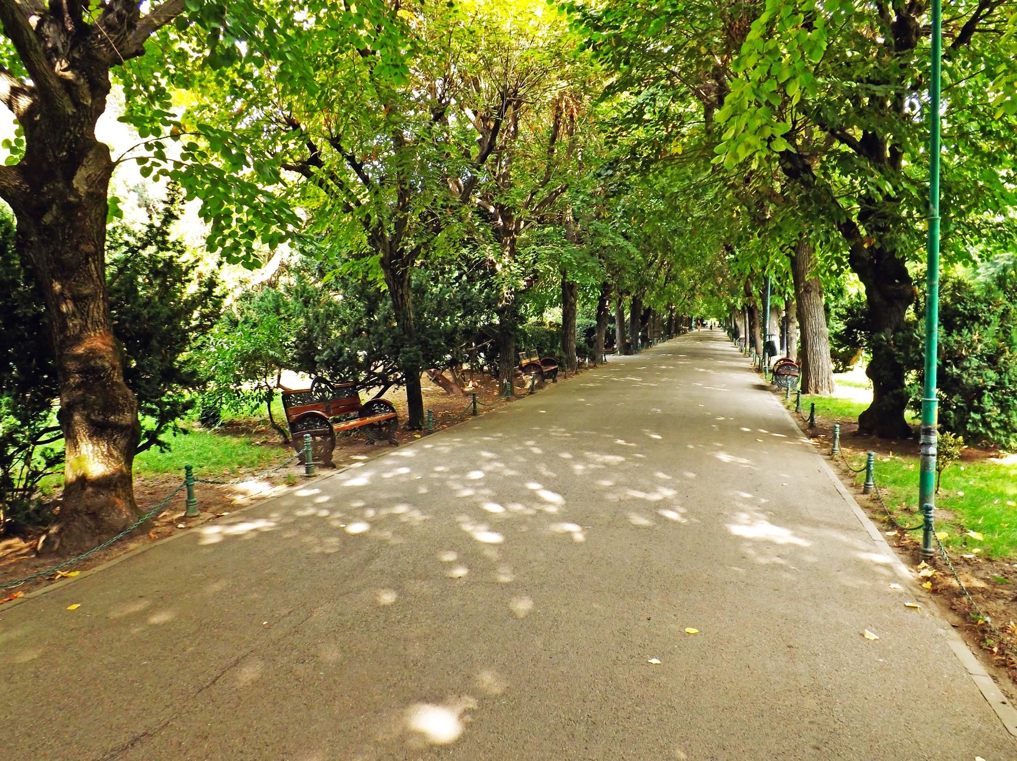 things to do Bucharest august