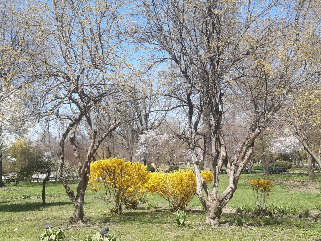 attractions in Bucharest cismigiu park